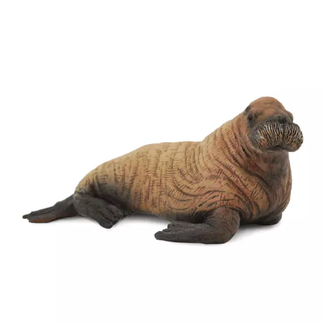 CollectA Realistic Animal Replica Walrus Calf Figure Medium Ages 3 Years and Up