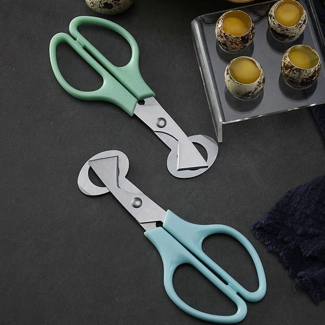 1 pz apriuovo di quaglia piccione acciaio inox forbici uccellino taglio guscio d'uovo creativo✅