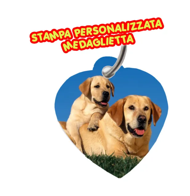 Stampa Personalizzata Su Medaglietta Guinzaglio Collare Cuore Cane Gatto Full