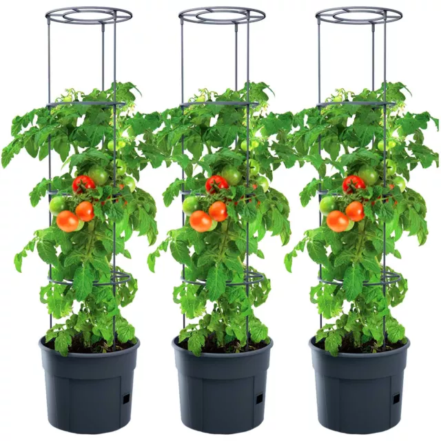 3x Topf für Tomatenpflanze Pflanzkübel Tomate Garten Terrasse Pflanzen 12 L