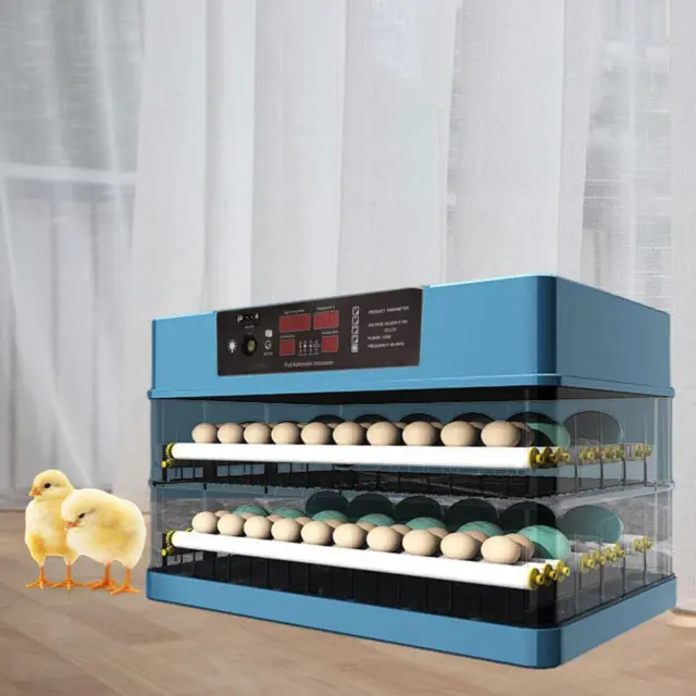 Incubatrice per uova con controllo della temperatura Girauova automatica per