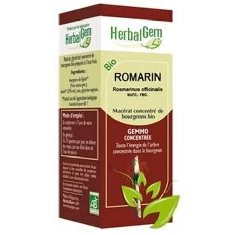 GEMMOBASE Romarin