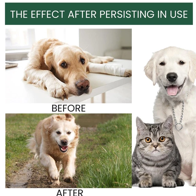 Pet Joint Repair Drops For Dogs, Cats,Cats Body Joint Relief Care Bone C1Y7