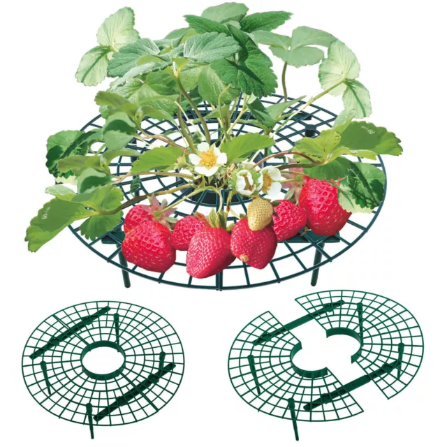 5-20PCS Frucht Erdbeer Reifer Erdbeerstütze Schneckenschutz Pflanzenhalte Pflanz