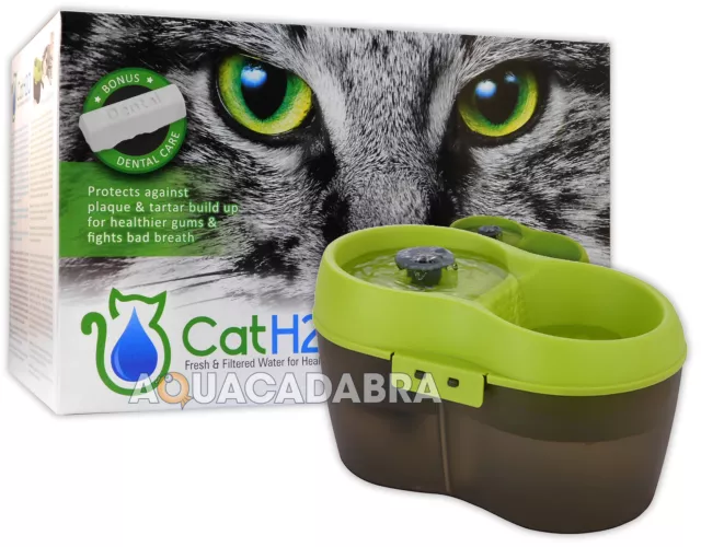 Fontaine pour chat H2O eau fraîche filtrée chats en bonne santé boire 2 L soins dentaires H20