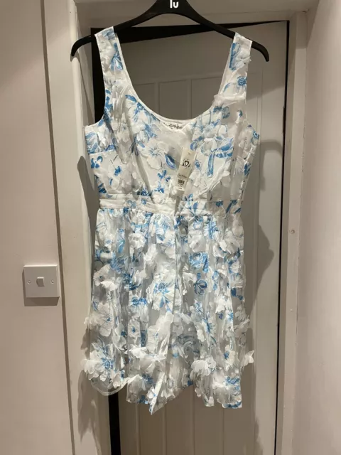 Stunning Miss Selfridge Dress Size 14 BNWT RRP £65