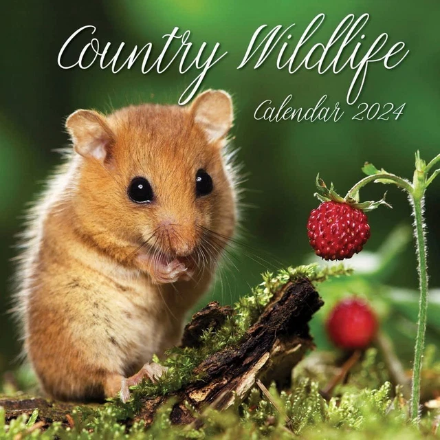 COUNTRY WILDLIFE 2024 Wall Calendar Brand New 07027 £14.57