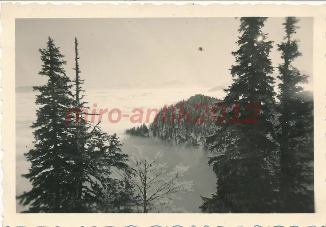 Foto, 3.Btl.Geb.Jg.Rgt.100, Hochgebirgsübung, Blick a.d. Stllg., 1940, 5026-448