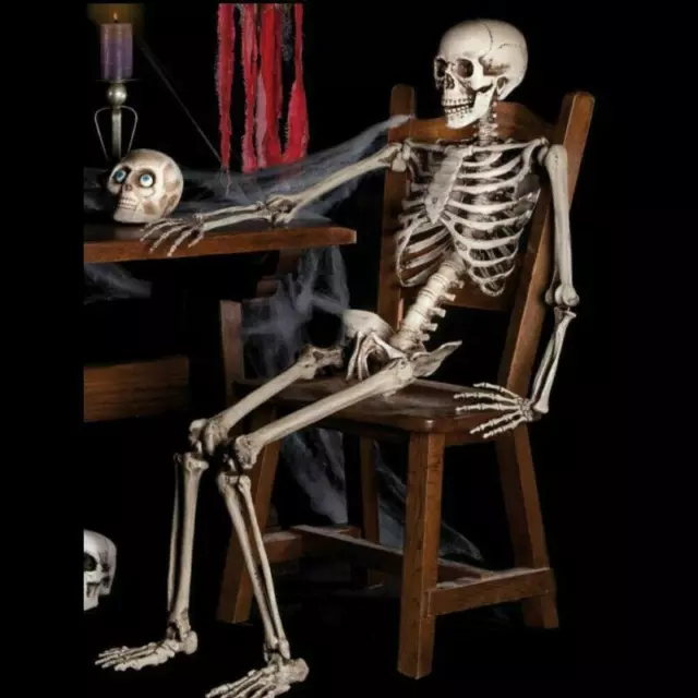 Halloween Human Skeleton Oversized Poseable Full Life Size Decoration Party Prop