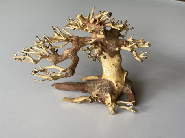Bonsai Driftwood Moss Tree Aquarium Freshwater Planted Tank Fish Shrimp - 862