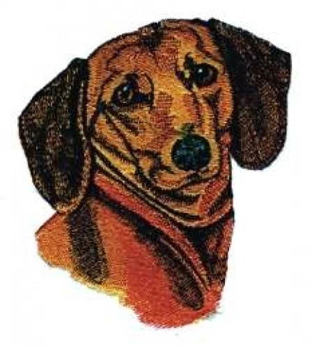 Embroidered Ladies T-Shirt - Dachshund BT2393  Size S - XXL