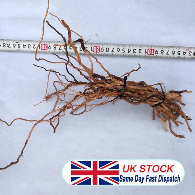 Natural Driftwood Aquarium Root Trunk Tree Fish Tank Landscape Plants Decors UK