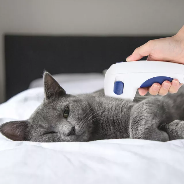 Professional Electric Flea Comb Dog Cat Pets Anti Flea Pet Brush Grooming Tool 3