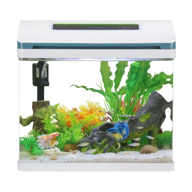 Betta Fish Tank 5 Gallon Self Cleaning Glass Small Aquarium Fish Tank Kit wit...