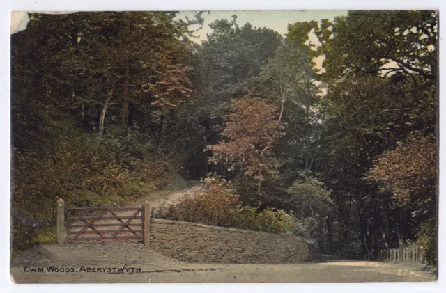 Aberystwyth, Cardiganshire, Wales Postcard - Cwm Woods - Duplex Postmark 1909