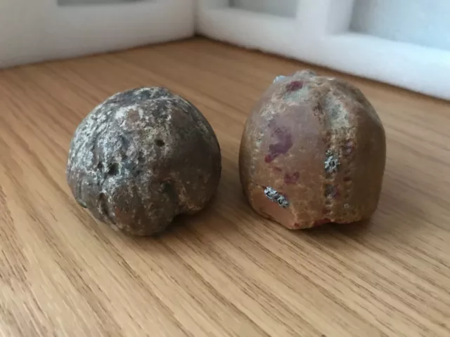 2 x Genuine Beach Worn Echinoid (Sea Urchin) Fossils from Hill Head Hampshire