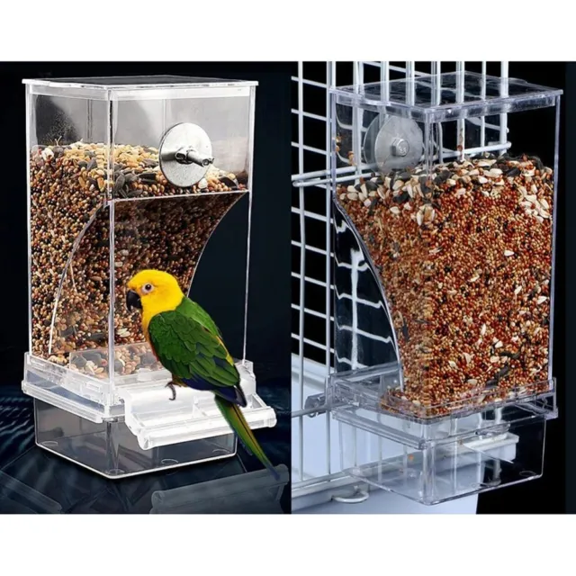 Arc-Shaped Bird Food Container Automatic Feeder Parrot Food Box Food Dispenser