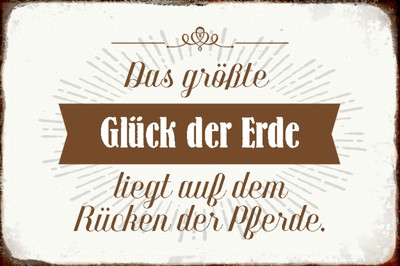 BLECHSCHILD 20X30 DAS größte Glück der Erde liegt auf dem Rücken der