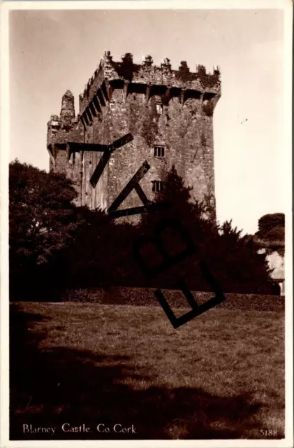 Blarney Castle Co Cork Real Photo Postcard