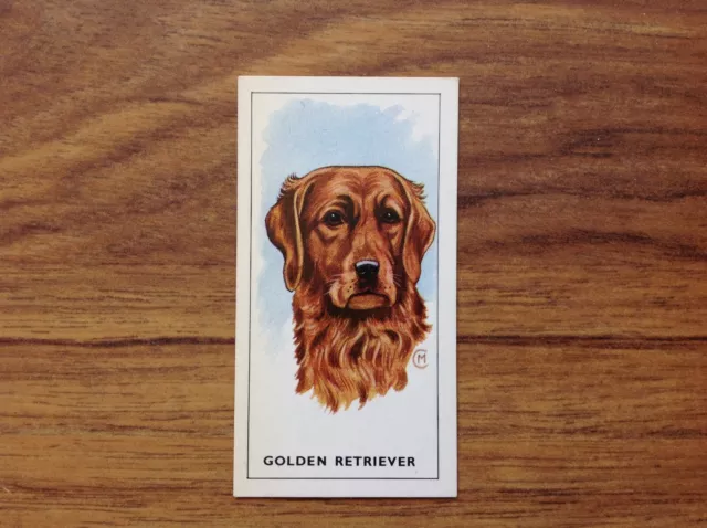 GP Tea Dogs Heads Golden Retriever Card . Free UK Postage