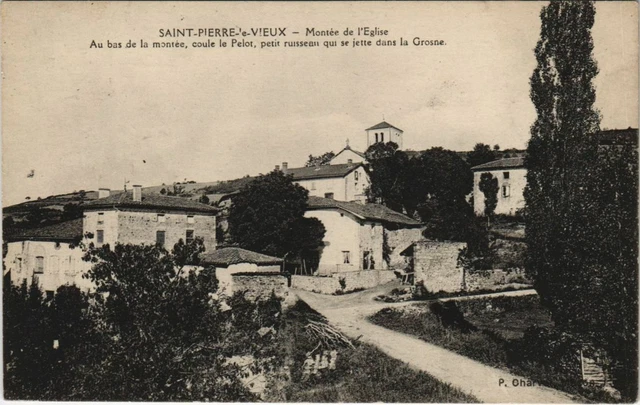 CPA AK St.Pierre le Vieux Montee de l'Eglise FRANCE (1174409)