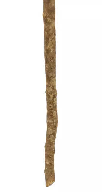 Zulu Knobkerrie Carved Wood Stick South Africa 2