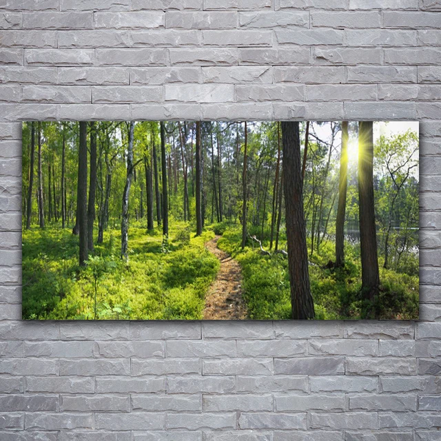 Tableau Abstrait Moderne Sur Verre 120x60 Cm - Marque Tulup, Neuf, Décoration Murale