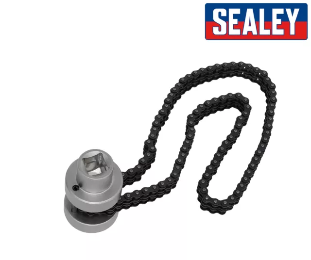 Sealey Air Dessicateur Cartouche Clé Double Chaîne 73-170mm - Camion Hgv