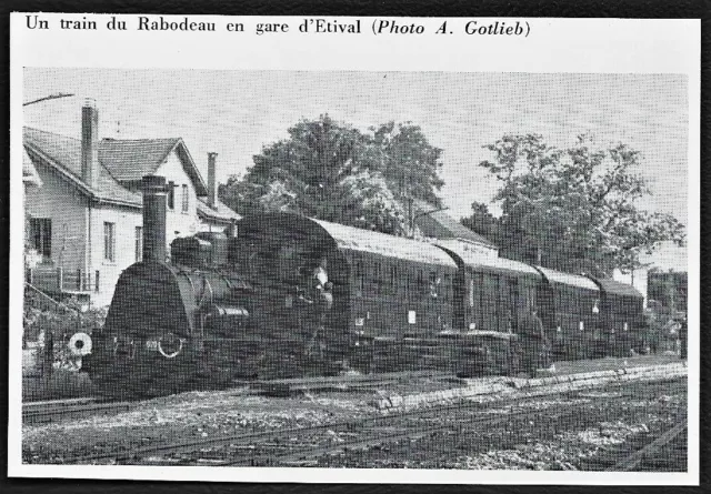 1981  --  Le Train Du Rabodeau En Gare D Etival  . 3U296