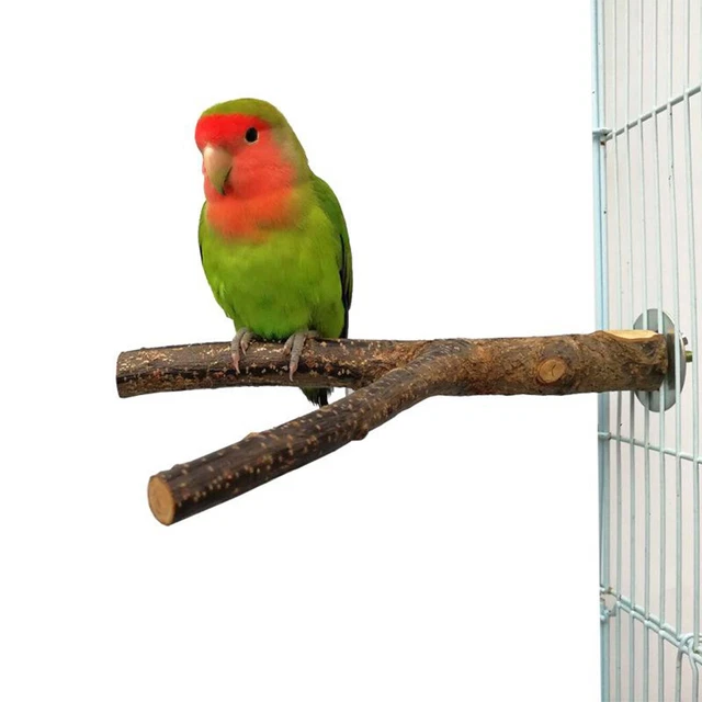 Holz Papagei Vogelständer Ast Hängende Spielzeug Sitzstangen Klettern Stehen