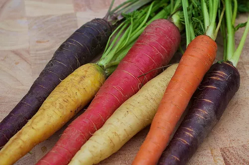 Bulk Rainbow Blend Carrot Seed* 1000 Seeds Bulk Medicinal*Healthful*Antioxidant*