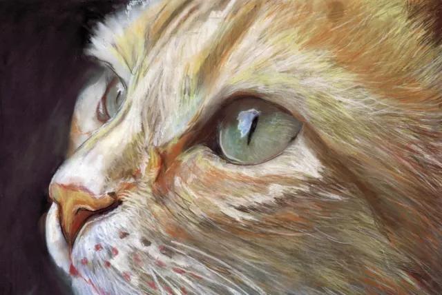 Ginger Cat Art Print, Cat Owner Gift, Feline Pastel Art Signed by Artist A4 A3