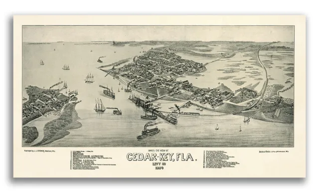1884 Cedar Key Florida Vintage Old Panoramic City Map - 14x24