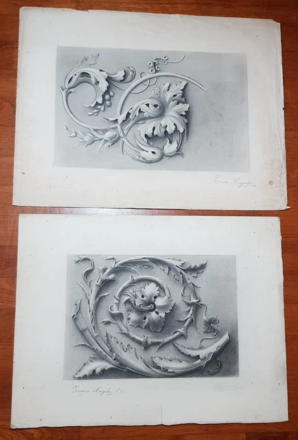 Coppia Di Disegni, Carboncino, Xix Secolo, Firmati
