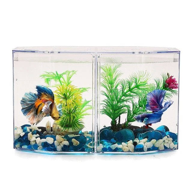 Acrylic Fish Tank Two Split Aquarium Fish Bowl Transparent Breeding Isolation 2