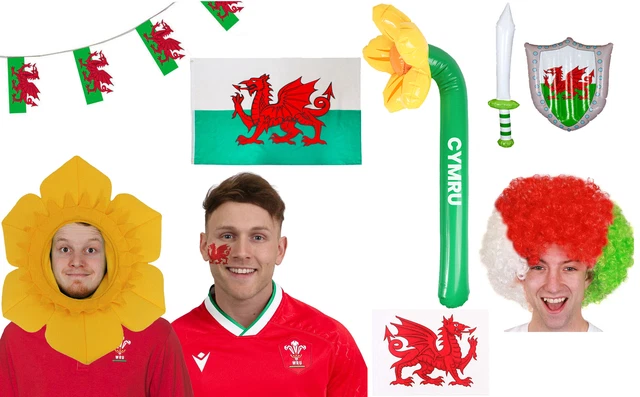 Lotto Sostenitori Di Eventi Rugby Wales Sport Calcio Rugby Wales
