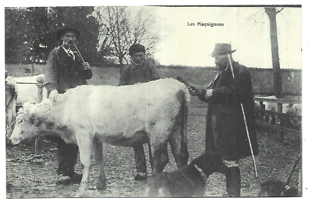 Carte Postale Marché Aux Chevaux 1999 – Francis Debaisieux N°S773