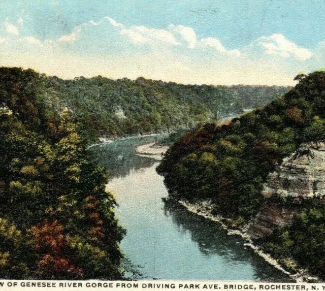 Genesee River Gorge Forest Mountains Aerial View Rochester NY Vintage Postcard