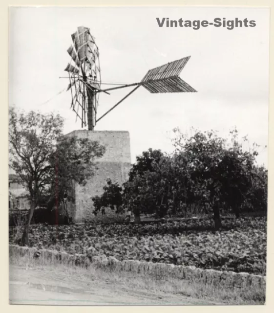 Mallorca: Water Mill / Molino De Viento Extracción De Aqua (Vintage Photo ~1960s