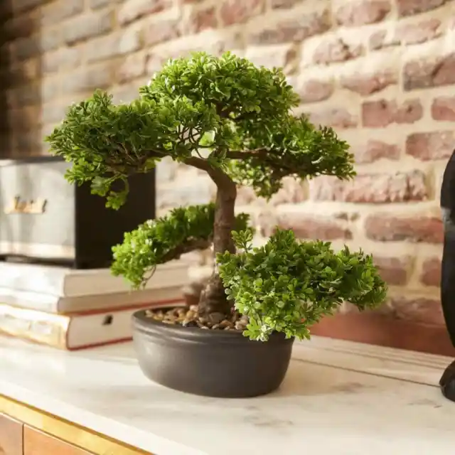 Mini bonsai artificial Ficus verde 32 cm 420002 Emerald vidaXL