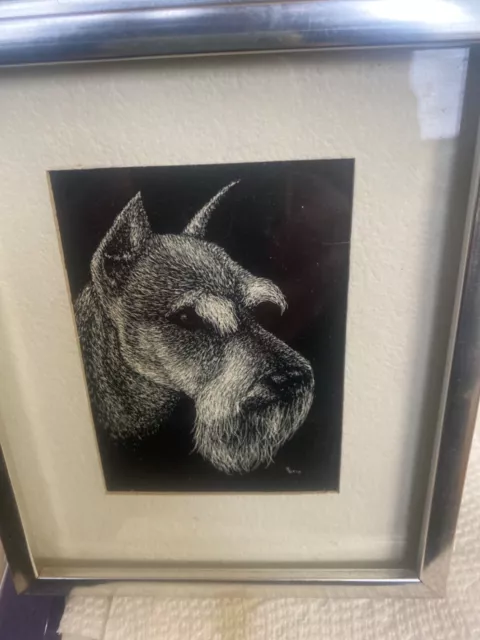 2delightiful dog pics in frame. Shunauzer