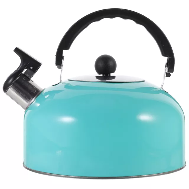 Camping Sound Pot Stainless Steel Teapot Kettle Kitchen Supply