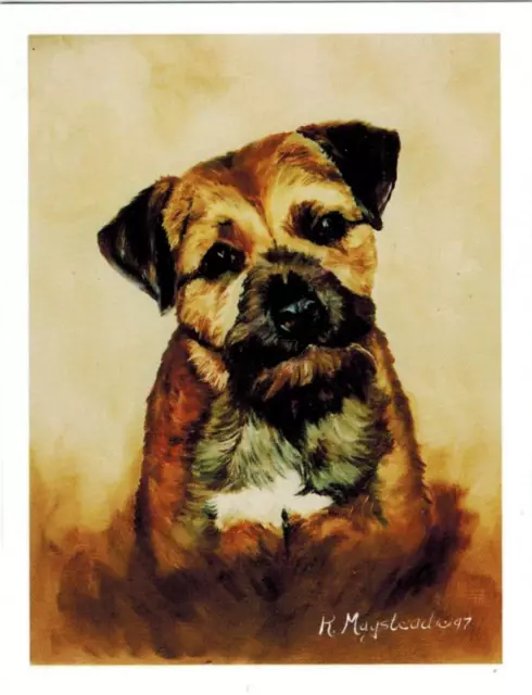 New Border Terrier Portrait Notecard Set - 12 Blank Note Cards Ruth Maystead