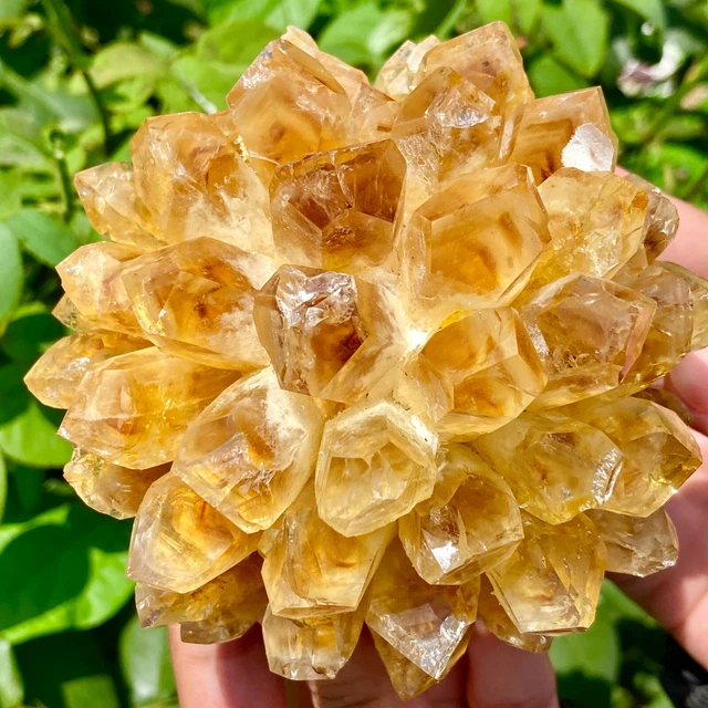 1.5LB New Find Yellow Phantom Quartz Crystal Cluster Mineral Specimen Healing