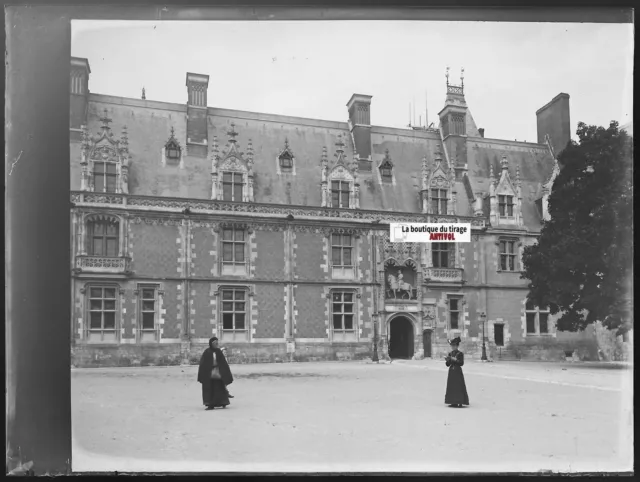 Château Royal de Blois, Plaque verre photo, négatif noir & blanc 9x12 cm