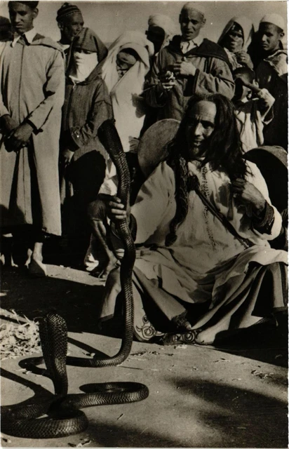 CPA AK MARRAKECH A Snake Charmor in MARRAKECH MOROCCO (824728)