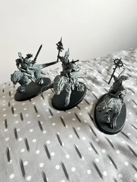 Sequiters Et Castigators Warhammer Age Of Sigmar Stormcast Éternels - Foto 11