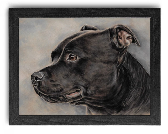 Black Staffordshire Bull Terrier gift Framed Artwork print Certificate & Boxed