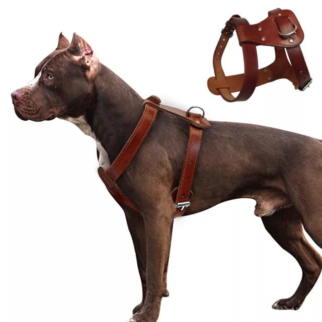 Genuine Leather Dog Vest Harness Pet Adjustable Heavy Duty Border Collie Boxer