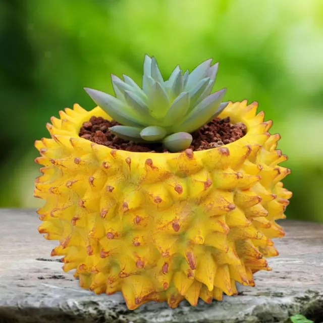 Pot de fleur Durian, jolie jardinière pour plantes d'intérieur, pour le